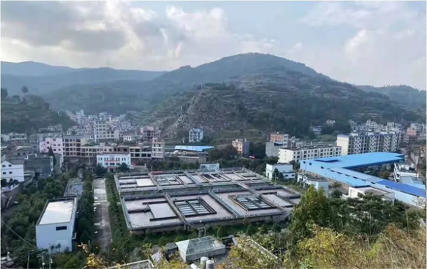 1636093004497976.png image.png